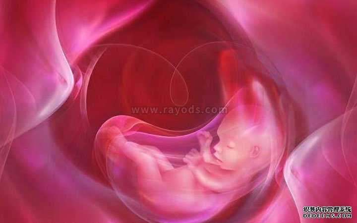 想做捐卵中介_试管婴儿胚胎移植到子宫后几天可以着床