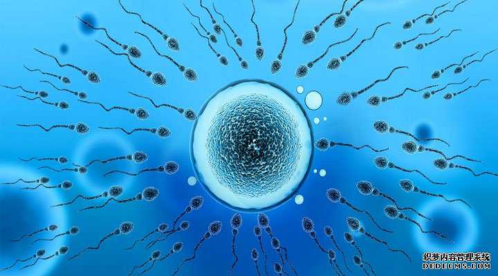 捐卵混血_未婚能不能在美国精子库申请供精试管？