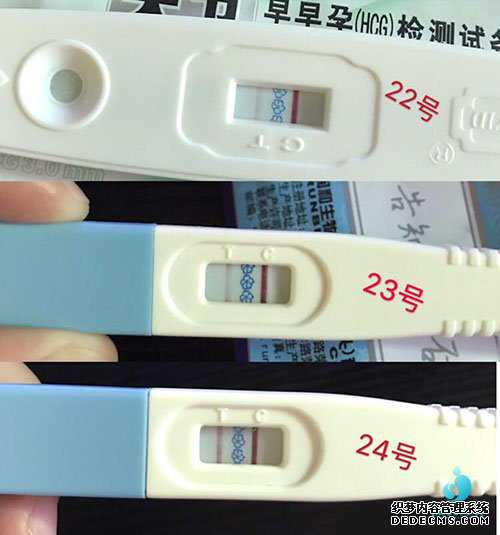 武汉赴美捐卵经历_武汉在哪捐卵_我的试管婴儿经历：多囊卵巢，第二次促排成