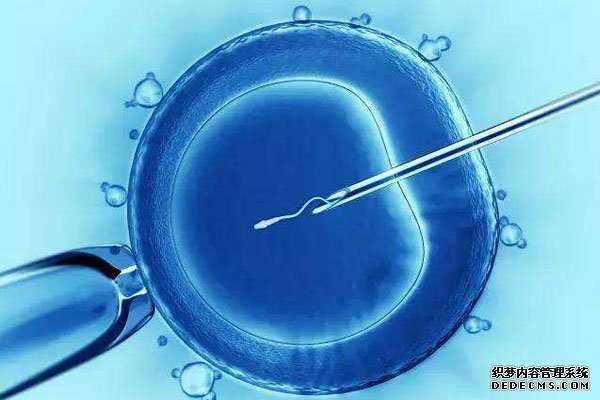 什么是捐卵子_无论试管还是自然怀孕，一胎试管二胎需间隔一年时间
