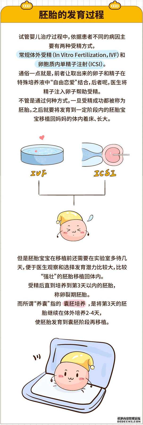紧急捐卵_试管婴儿到底要不要养囊?胚胎的发育过程