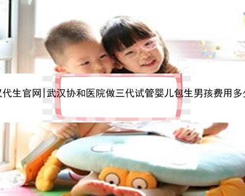 武汉代生官网|武汉协和医院做三代试管婴儿包生男孩费用多少？