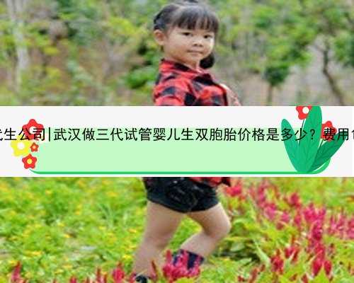 武汉专业代生公司|武汉做三代试管婴儿生双胞胎价格是多少？费用10万够吗？